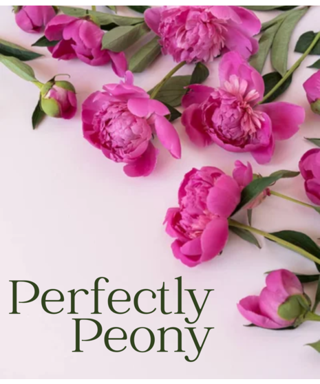 Perfectly Peony